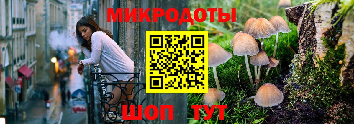 Галлюциногенные грибы GOLDEN TEACHER Новочебоксарск